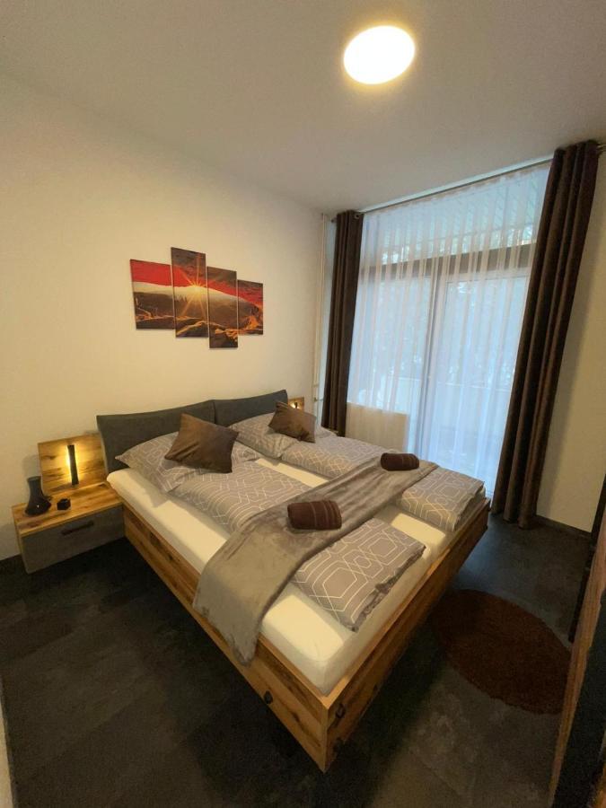 Mariposa 4 Incl Pool & Sauna Bad Harzburg Kültér fotó
